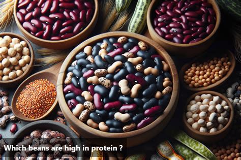 american game shows|Beans rich in protein .